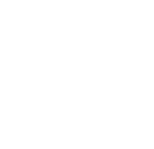 Logo AE Médiations blanc